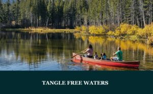 Read more about the article MAMMOTH LAKES ~ TANGLE FREE WATERS CAMPAIGN