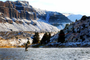 Read more about the article TROUT LOVE SNOW | Trout Unlimited Magazine