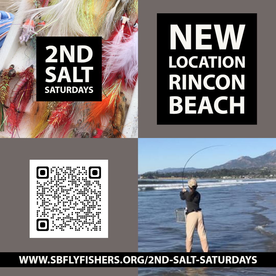 Read more about the article SANTA BARBARA’S 2ND SALT SATURDAY COMING UP > JULY 8, 2023 (Rincon Beach)