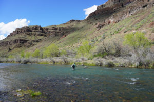 Read more about the article Support this important legislation and watch a new fishing video from the Owyhee Sportsmen Coalition