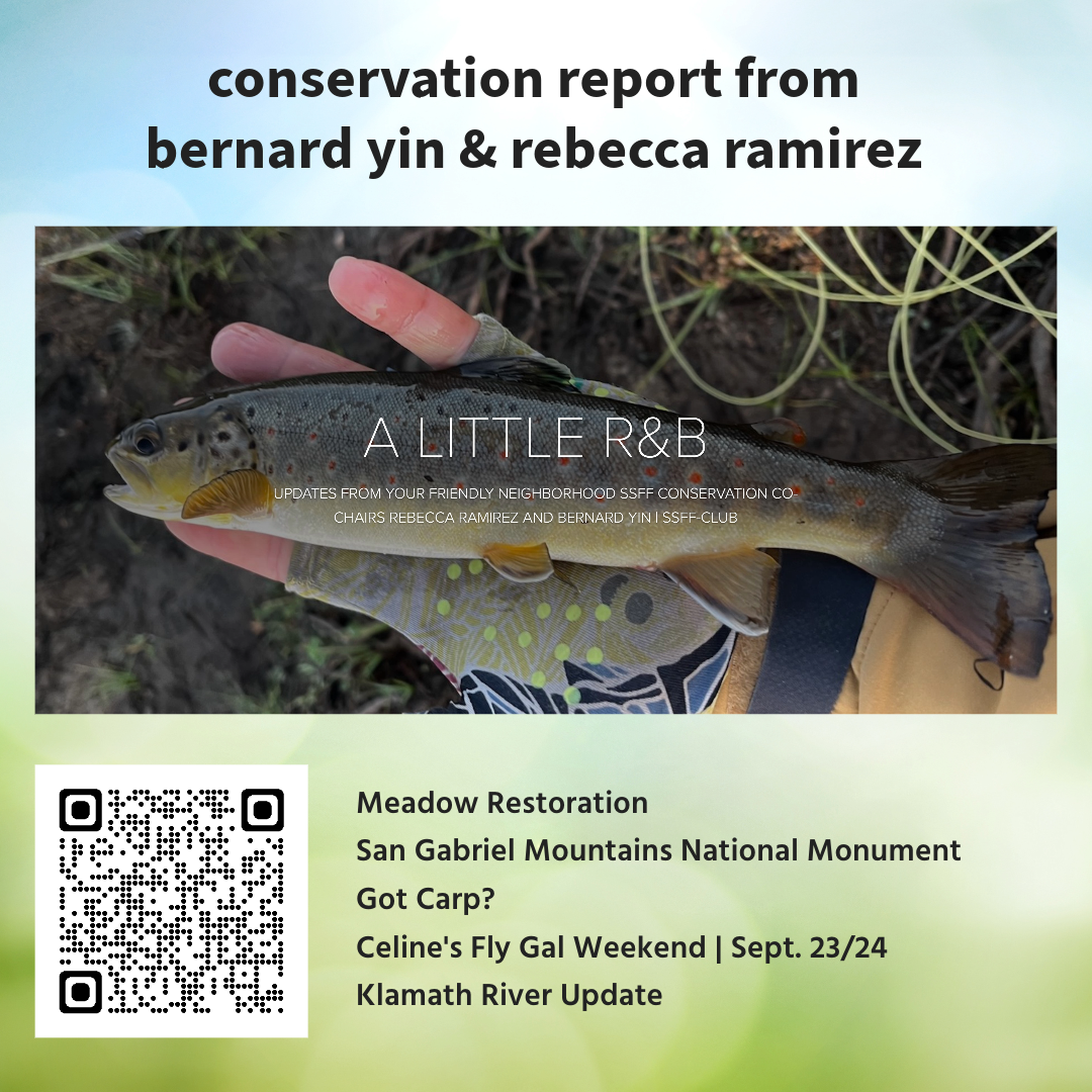 Read more about the article A LITTLE R&B – Conservation report from Bernard Yin & Rebecca Ramirez!